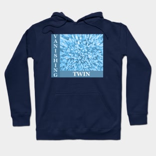 VANISHING TWIN Hoodie